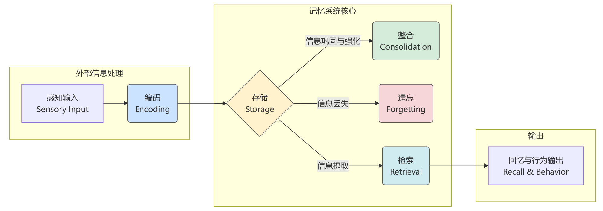 图 8.3 记忆形成的认知过程